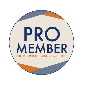 Pro Member of the Pet Photographer's Club