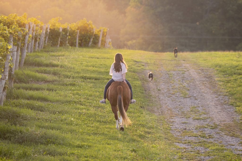woman on her horse riding on a open trail