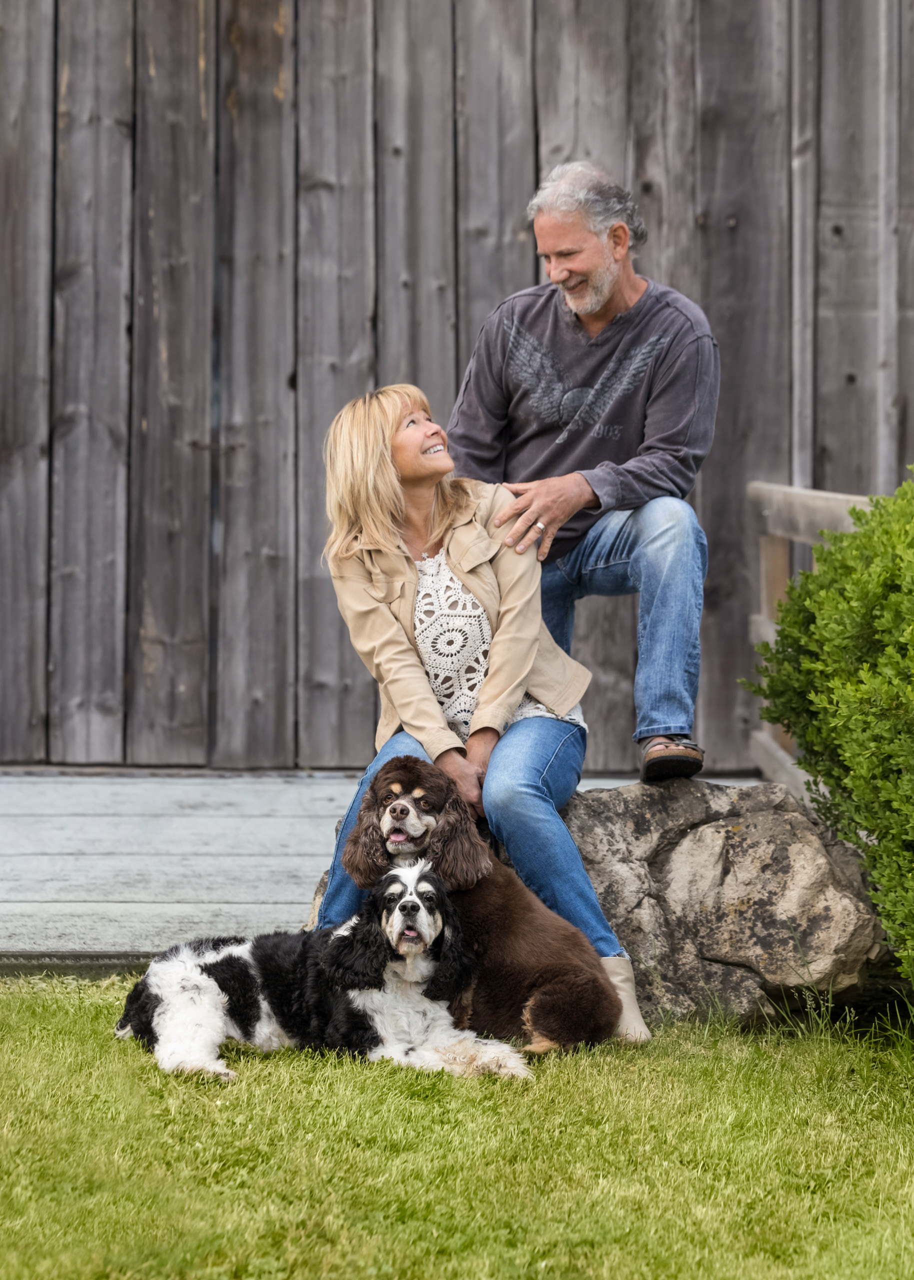 happy couple looking at each other with their two cock spaniels