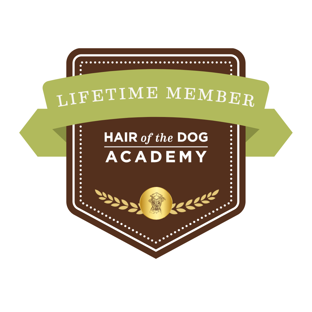 International Pet Photographer of the Year Top 100 Action