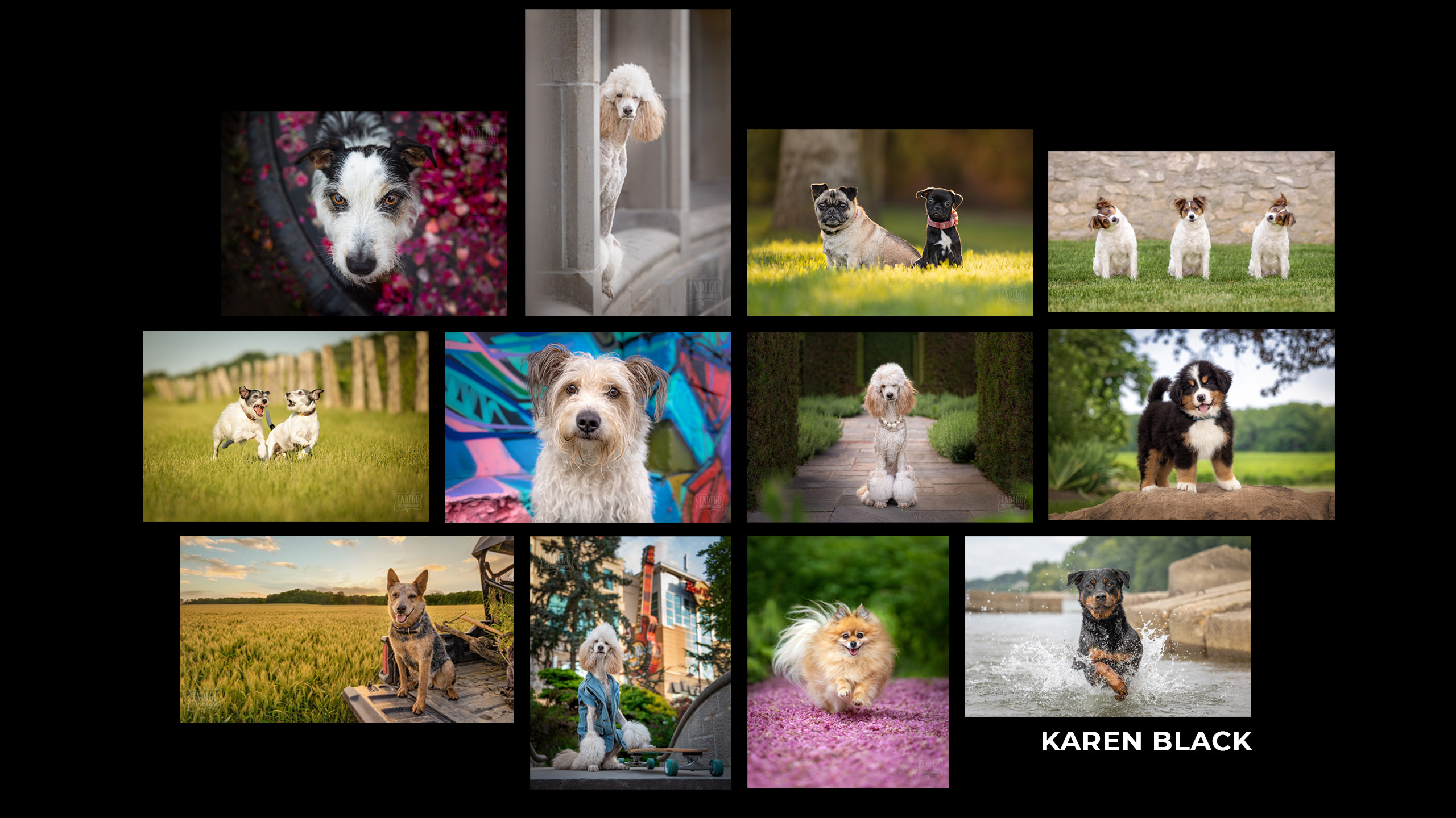 Embark challenge submissions