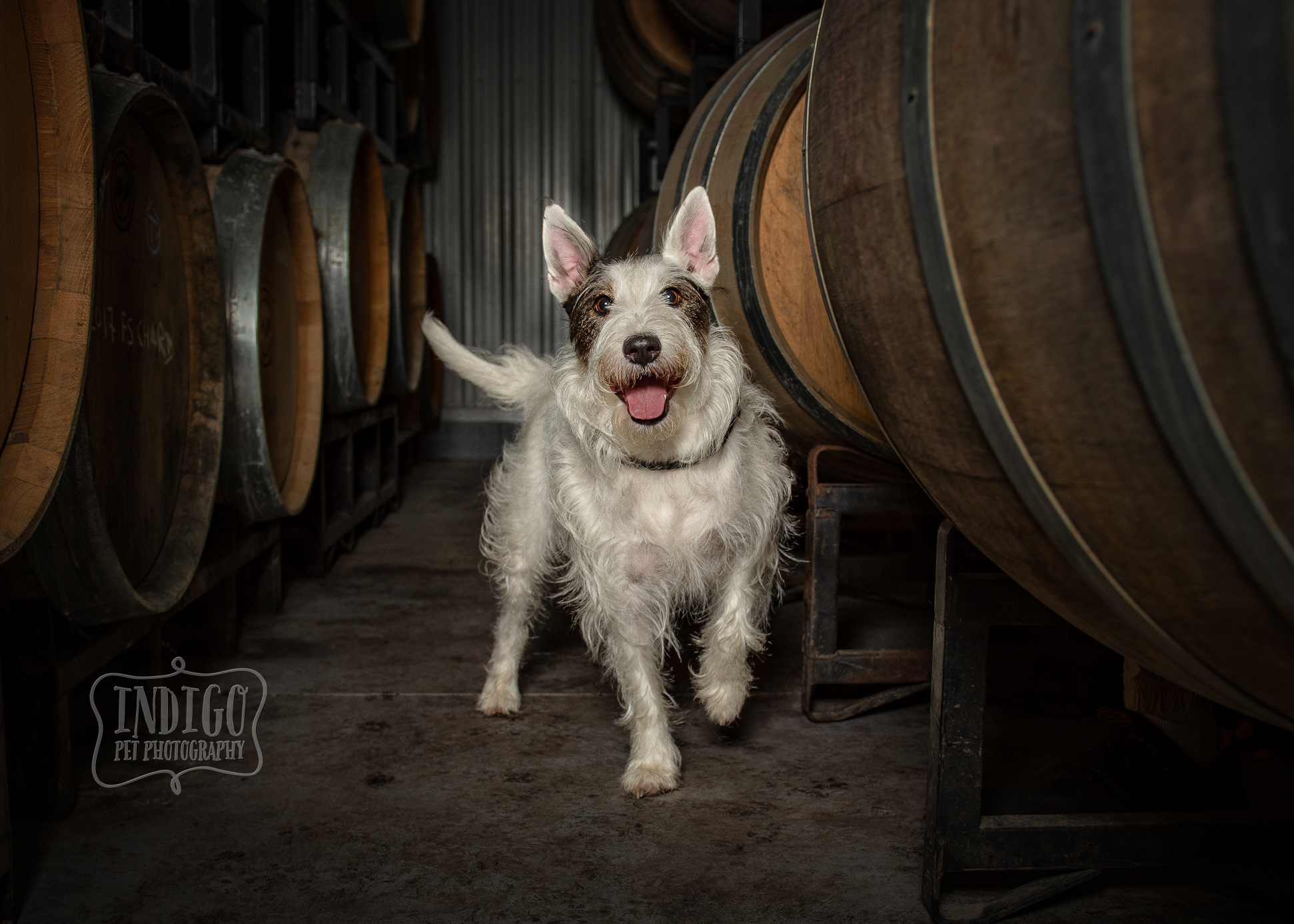 Embark challenge submissions