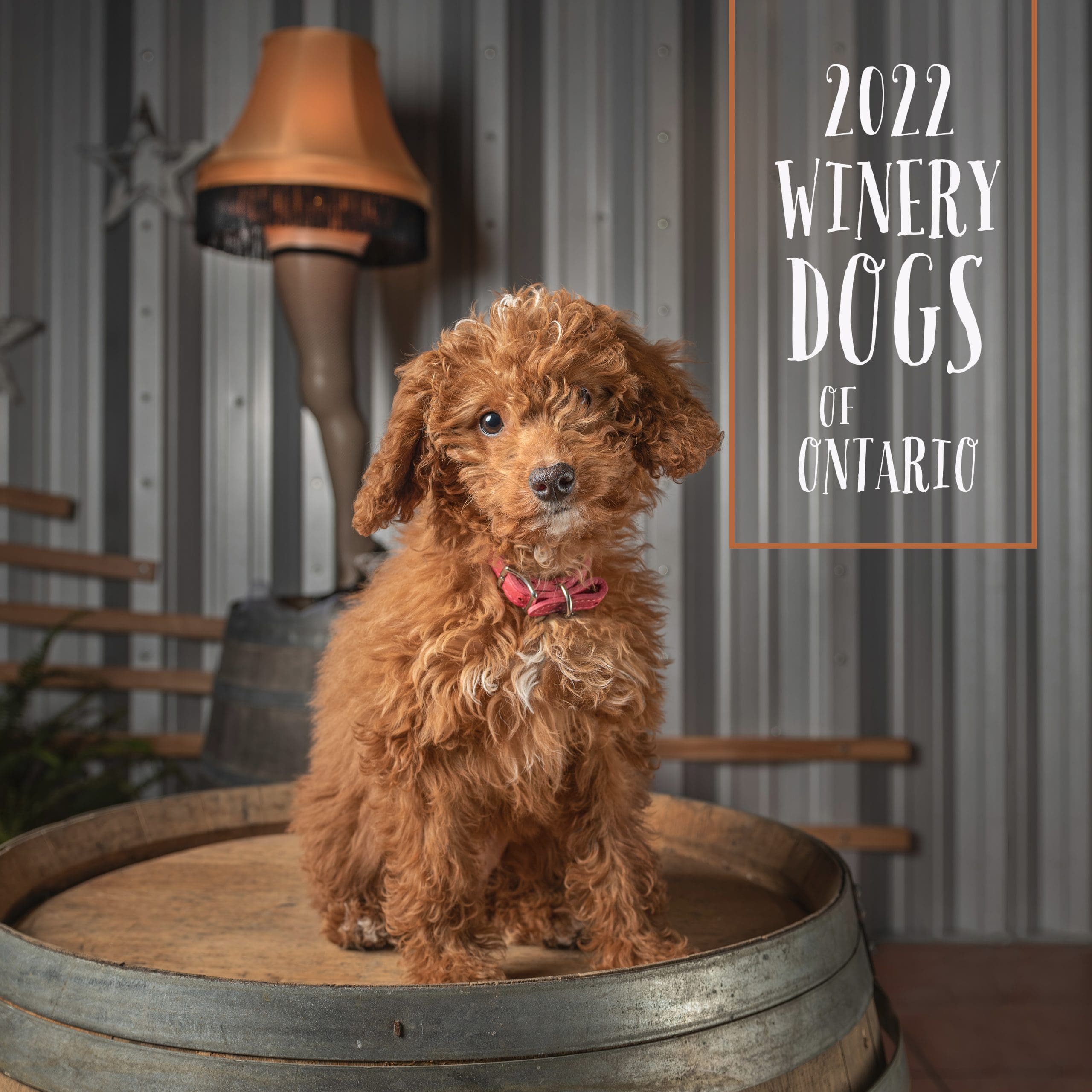 Winery Dogs of Ontario 2022 cover