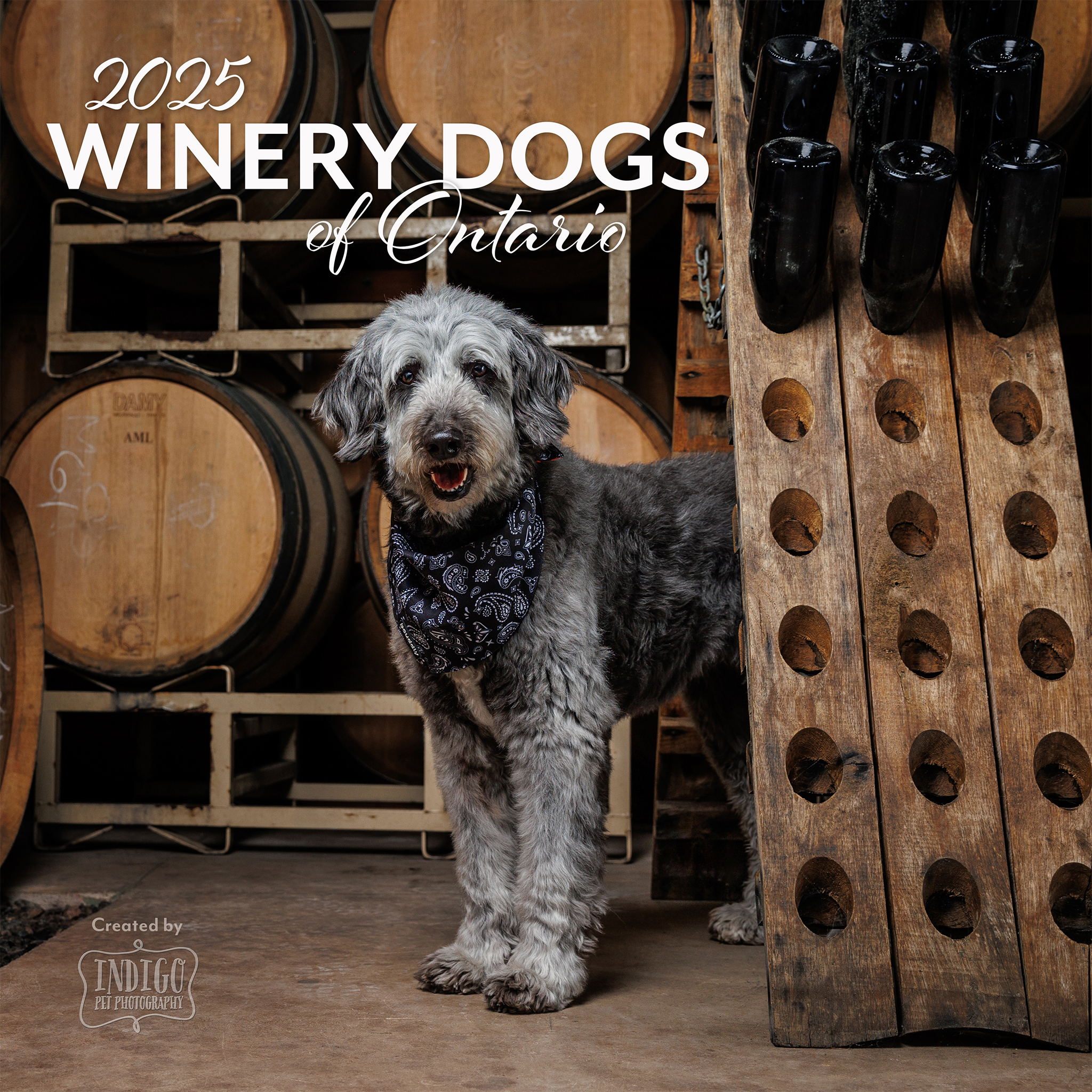 Winery Dogs of Ontario 2024 calendar cover