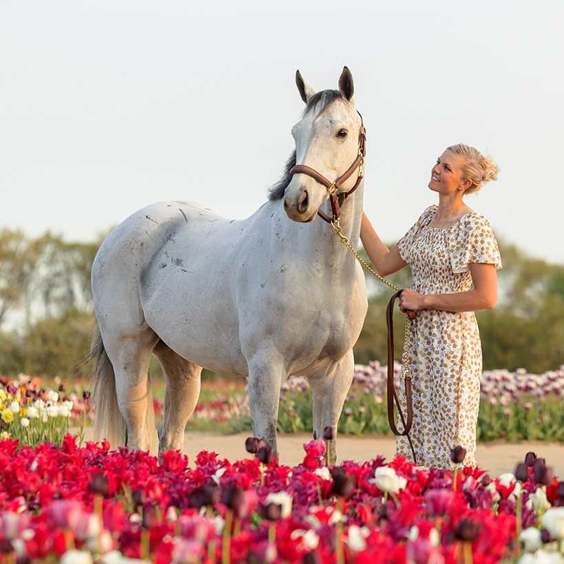 horse in tulips in fenwick ontario